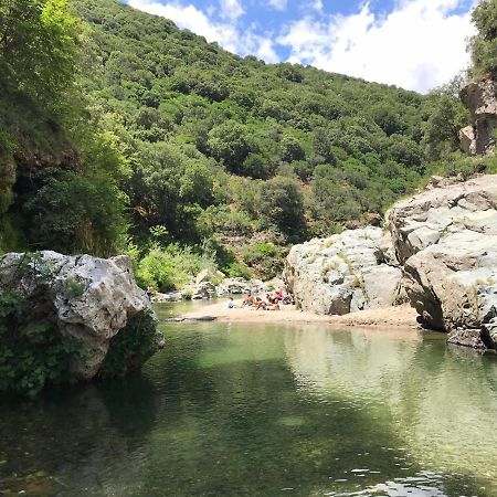 Ferula Romantica Mansarda Tra Fiumi E Montagne Sardegna Seulo Exterior photo