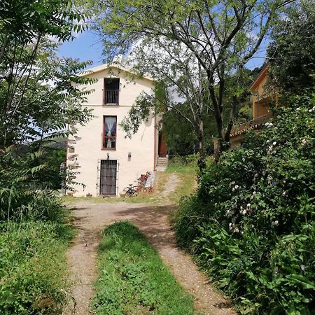 Ferula Romantica Mansarda Tra Fiumi E Montagne Sardegna Seulo Exterior photo
