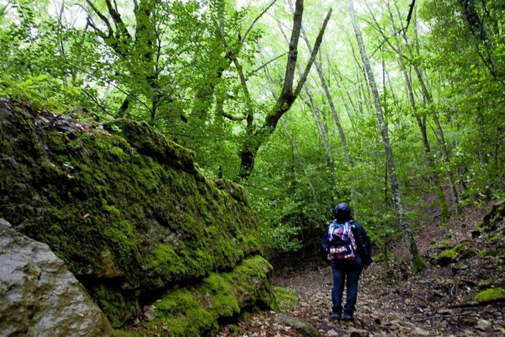 Ferula Romantica Mansarda Tra Fiumi E Montagne Sardegna Seulo Exterior photo