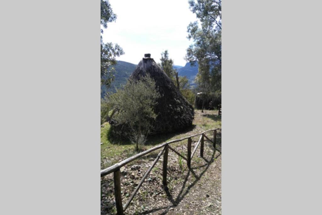 Ferula Romantica Mansarda Tra Fiumi E Montagne Sardegna Seulo Exterior photo
