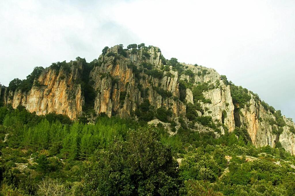 Ferula Romantica Mansarda Tra Fiumi E Montagne Sardegna Seulo Exterior photo