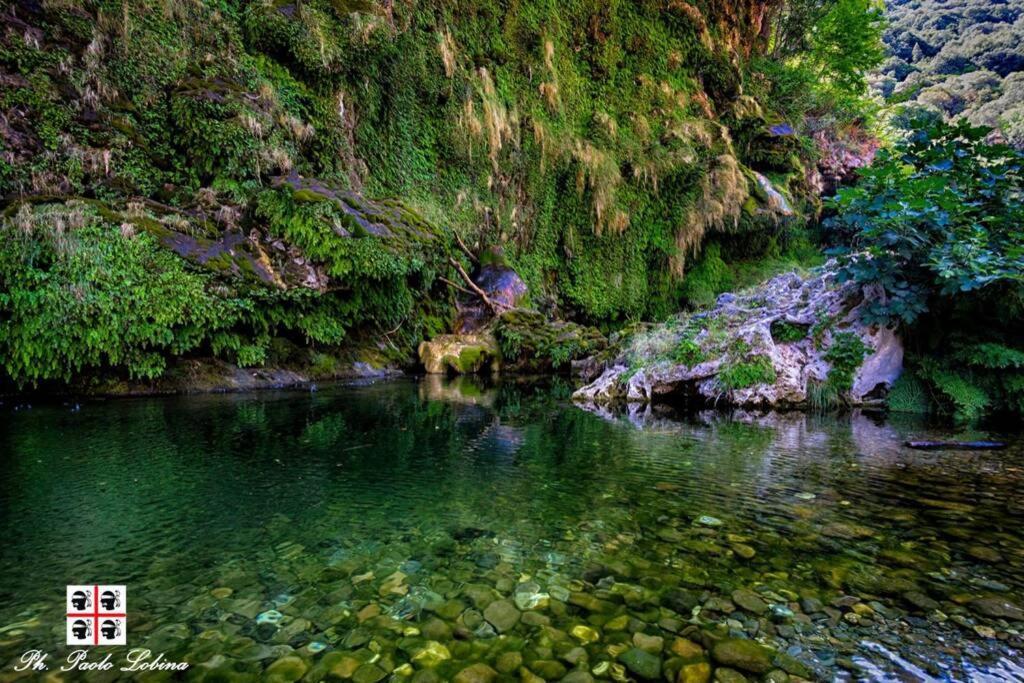 Ferula Romantica Mansarda Tra Fiumi E Montagne Sardegna Seulo Exterior photo
